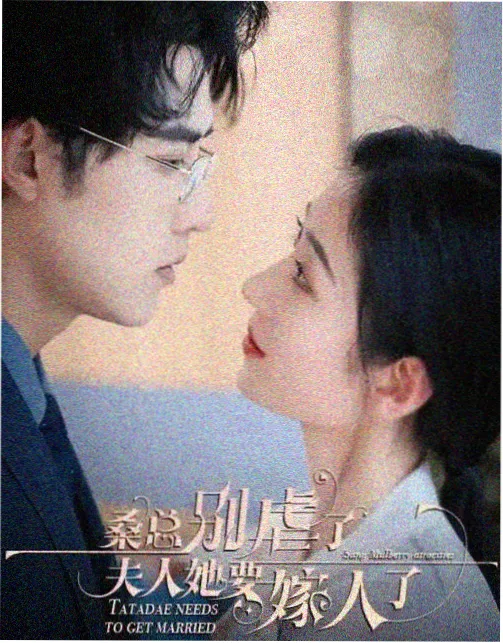 江湖夜雨十年灯 原著小说与剧版改编差异对照封面